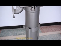 Ruiao de aço inoxidável SUS304 316 Filtro de caixa de filtro único/multi-saco Filtro de caixa para suco de cerveja de vinho